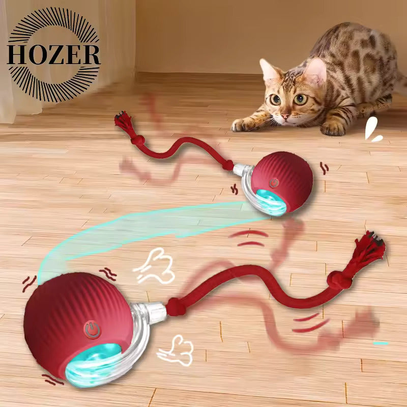 Tailchaser rolling ball