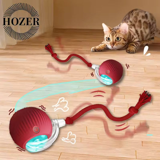 Tailchaser rolling ball