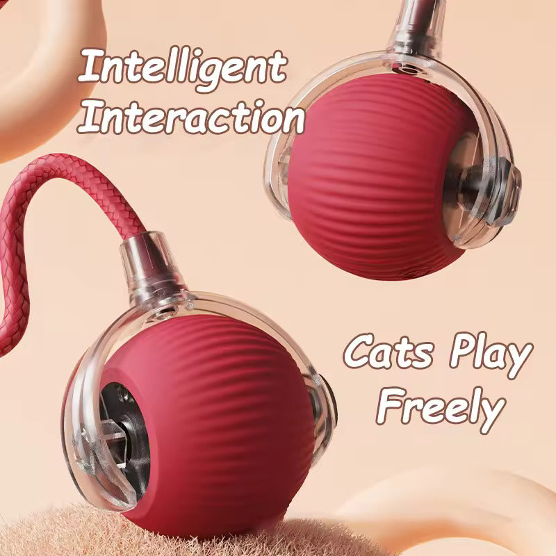 Tailchaser rolling ball