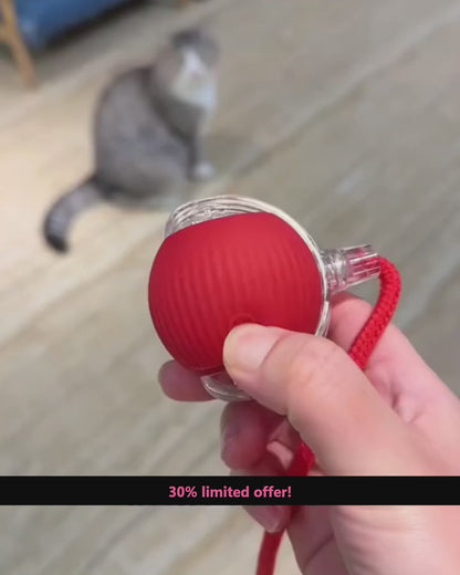 Tailchaser rolling ball